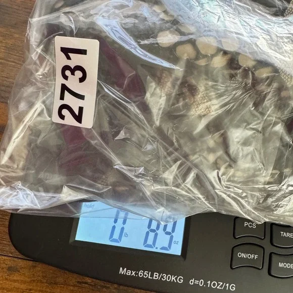 Free People Deco Lace Sheer Mini Dress Whimsigoth Bell Sleeve Edgy Boho 4 NEW - Picture 9 of 9